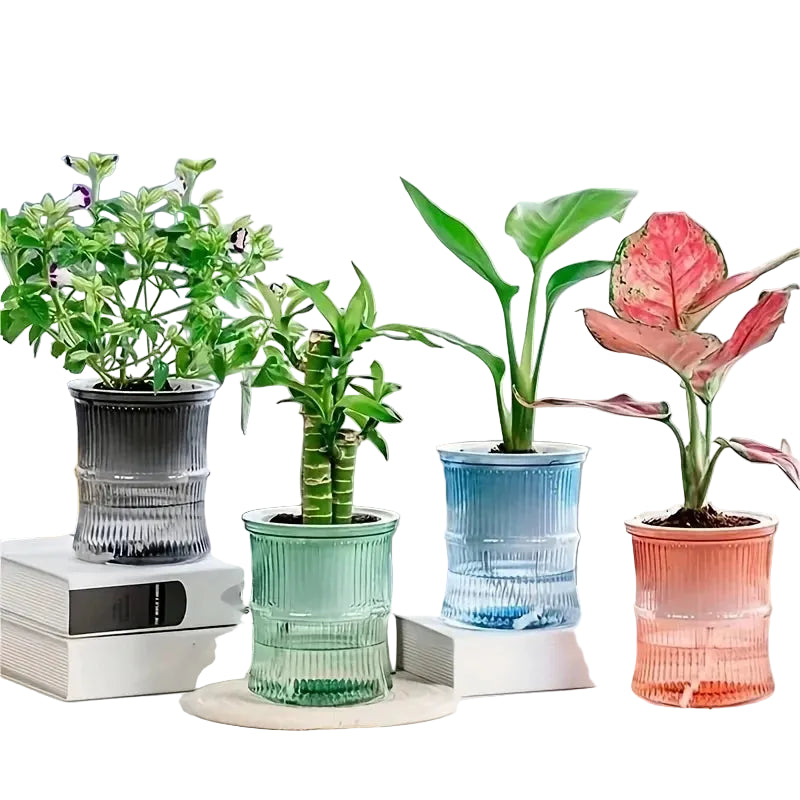 levitating flower pot