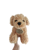 teddy