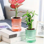 levitating flower pot