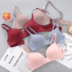 Push Up Bra with Underwire Support
