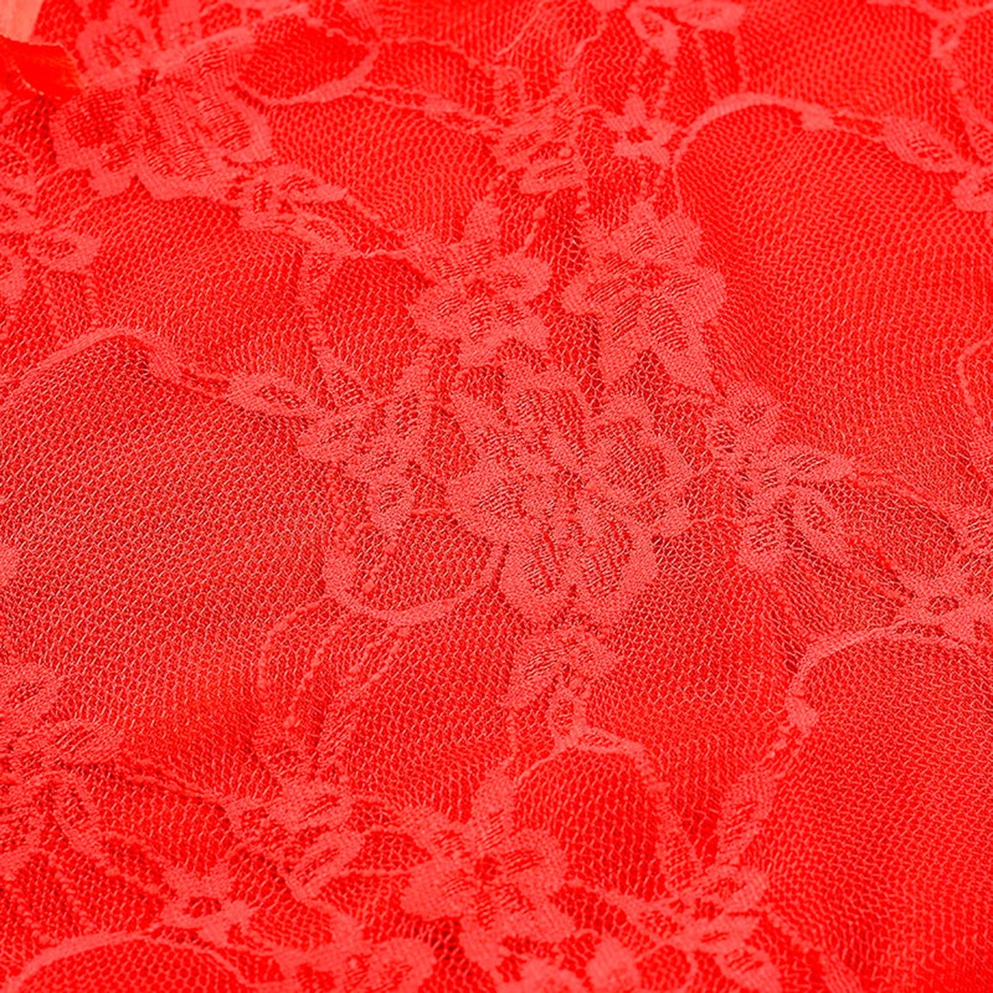 Plus Size Sexy Lace Lingerie Teddy