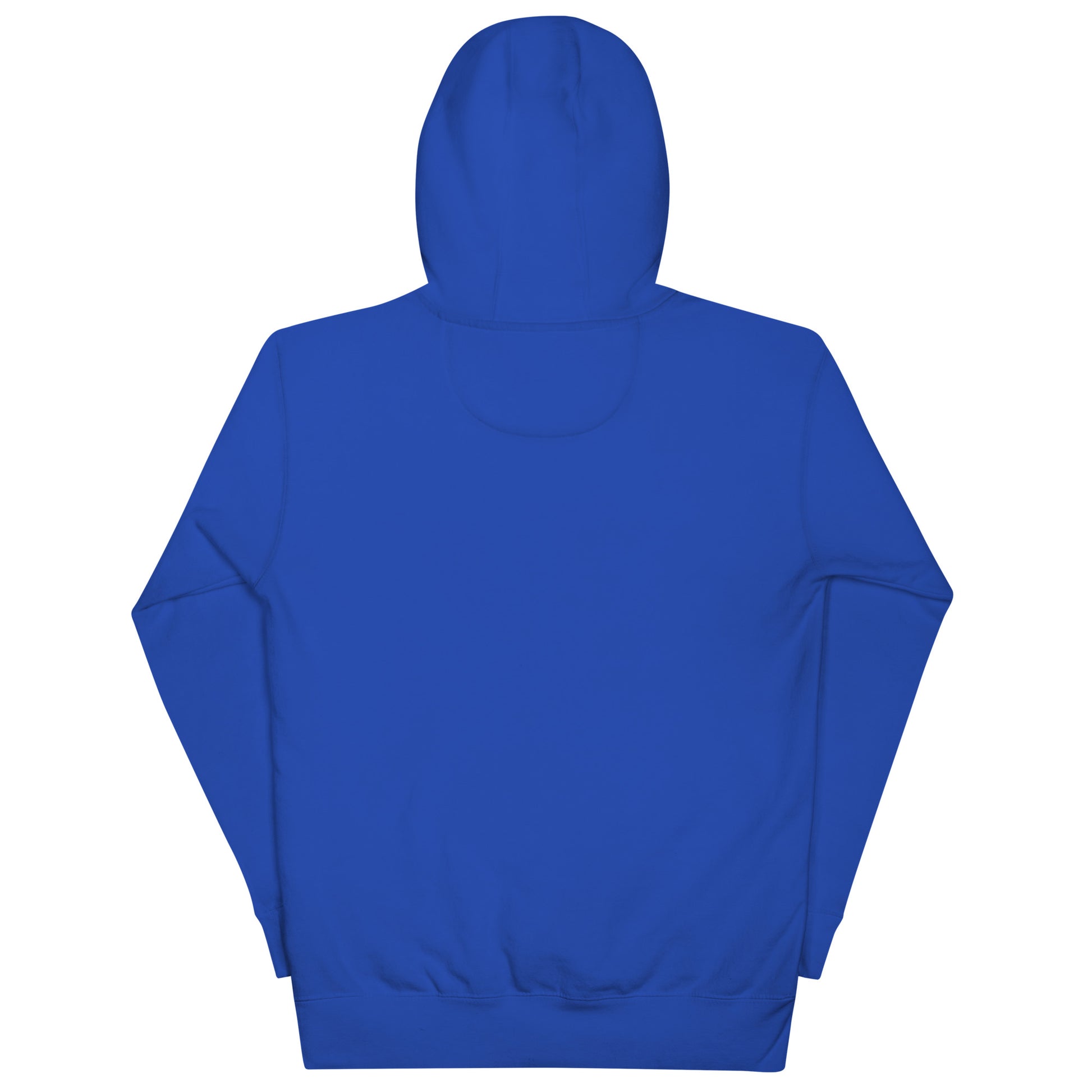 Blue LuckeLadybug hoodie shown from back as a patriotic sweatshirt for adults