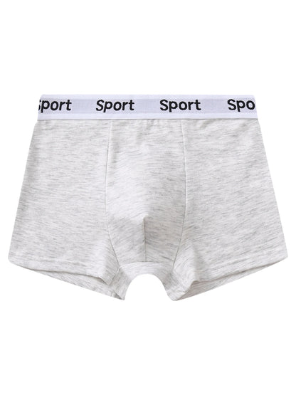 LuckeLadybug boys breathable cotton boxer briefs in gray with Sport waistband for ultimate comfort