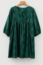 Embroidered Eyelet Mini Dress, Puff Sleeve
