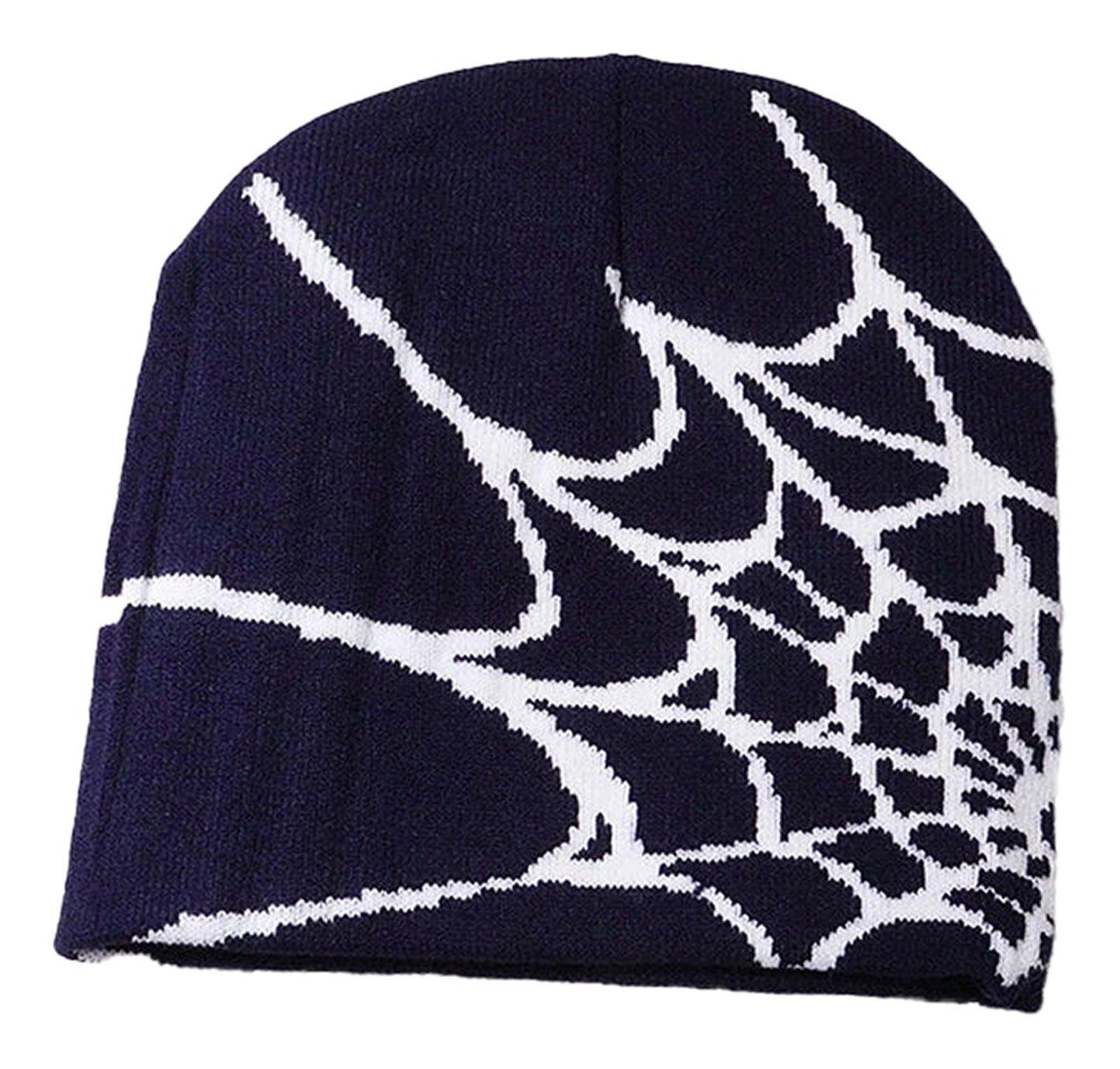 Navy cartoon spider embroidered beanie featuring a white spiderweb design for casual style