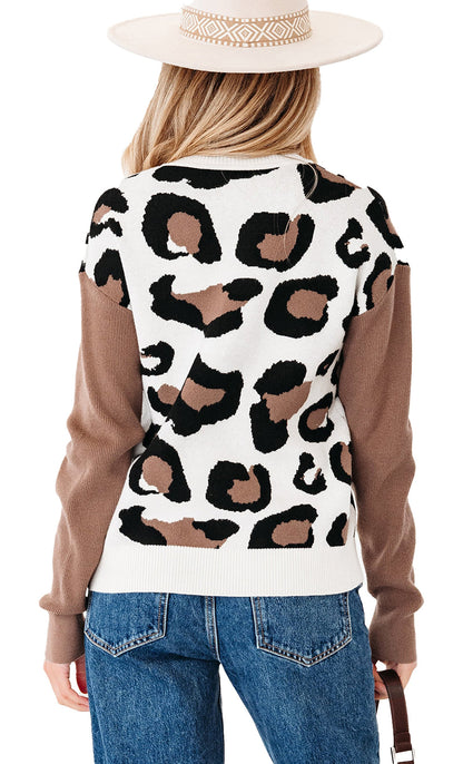 Leopard Print V Neck Sweater For Women