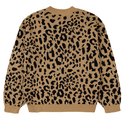 Leopard Print Sweater Women Trendy Style