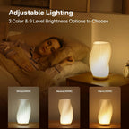 Desk and Lamp with Memory Function