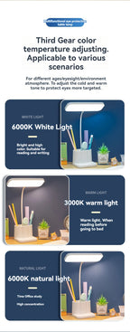 Desk and Lamp with Pen Holder Design