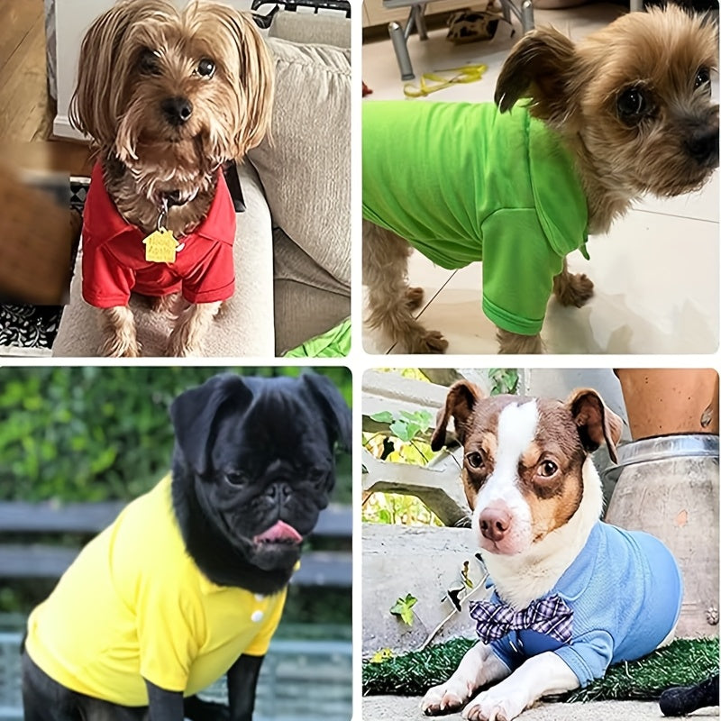 Collection of dog polo shirts for small dogs in red, green, yellow, and blue styles on various breeds