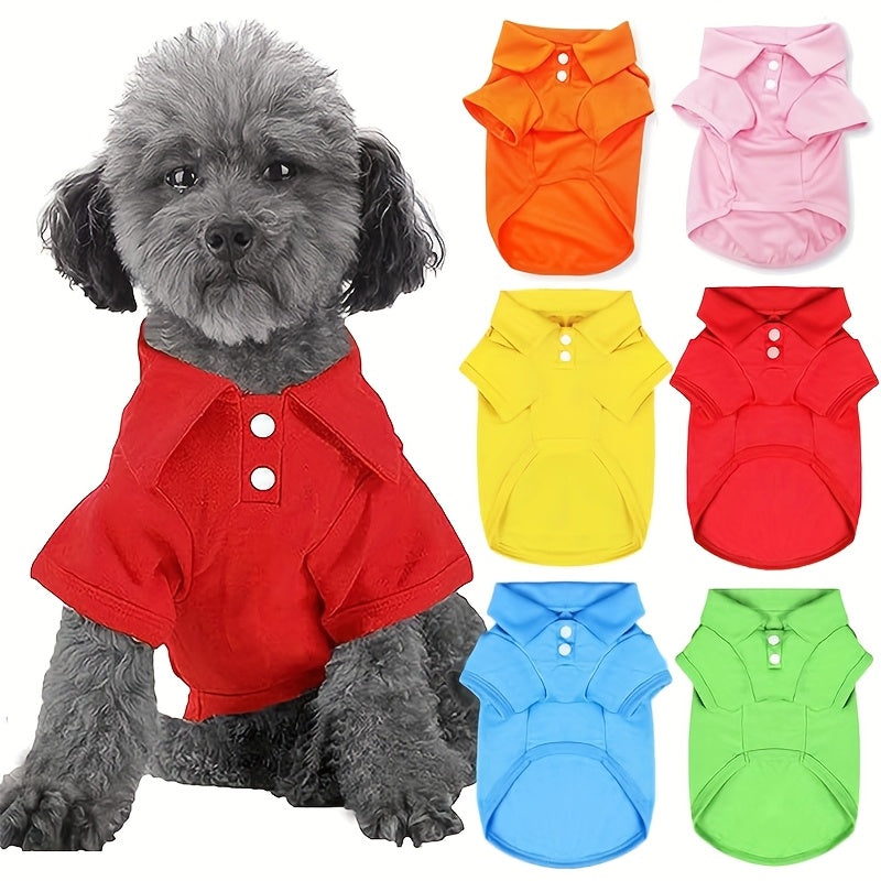 Red dog polo shirts for small dogs displayed on a furry dog with colorful options in the background