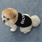 Small dog wearing a black Bos shirt, perfect as a dog thunderstorm vest for anxiety relief