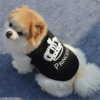 LuckeLadybug dog thunderstorm vest in black with crown design, perfect for small pets during storms