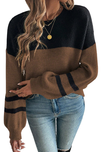 Dark Brown Color Block Sweater For Women