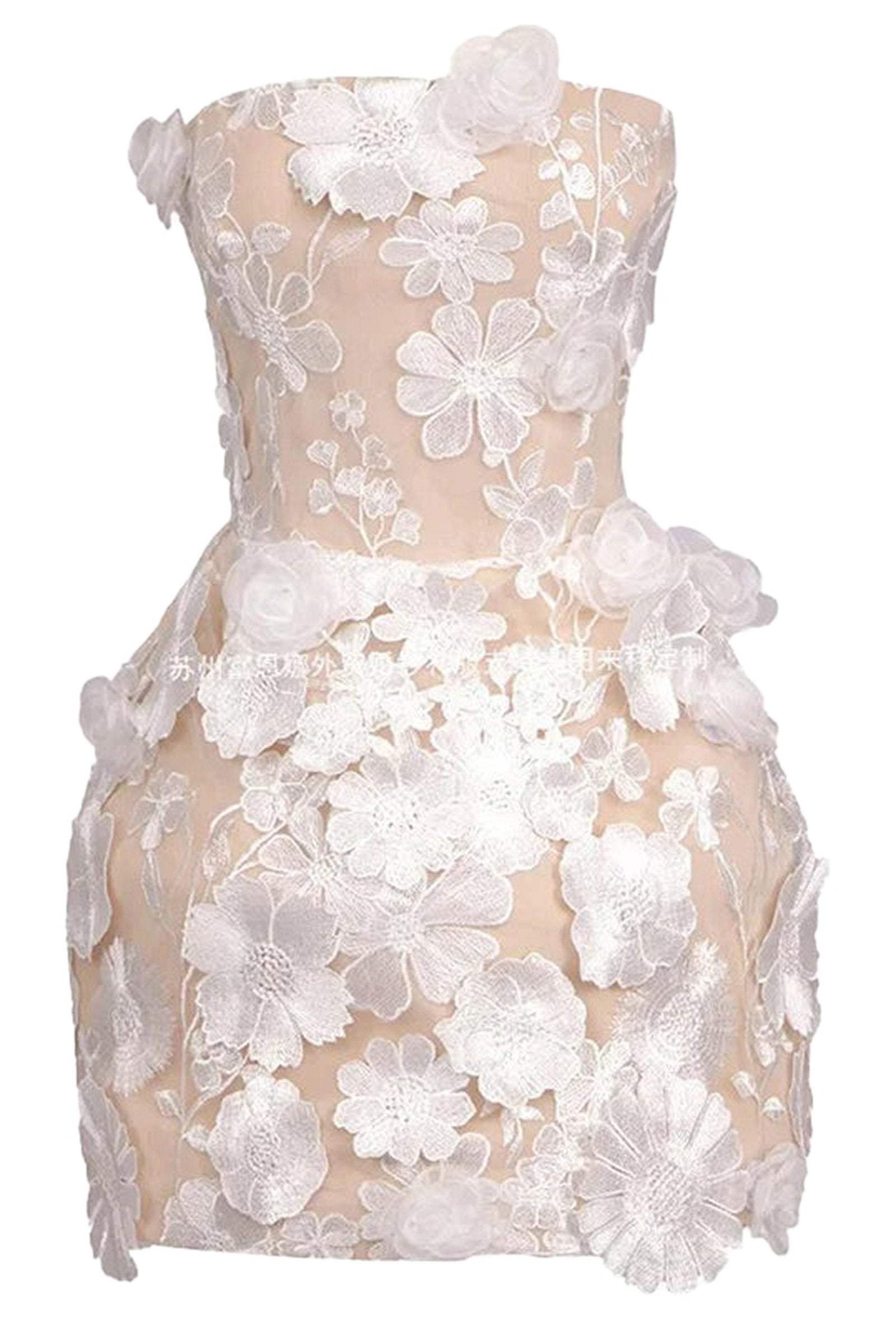 LuckeLadybug LLC waist cinching mini dress for women in nude with intricate floral embroidery design