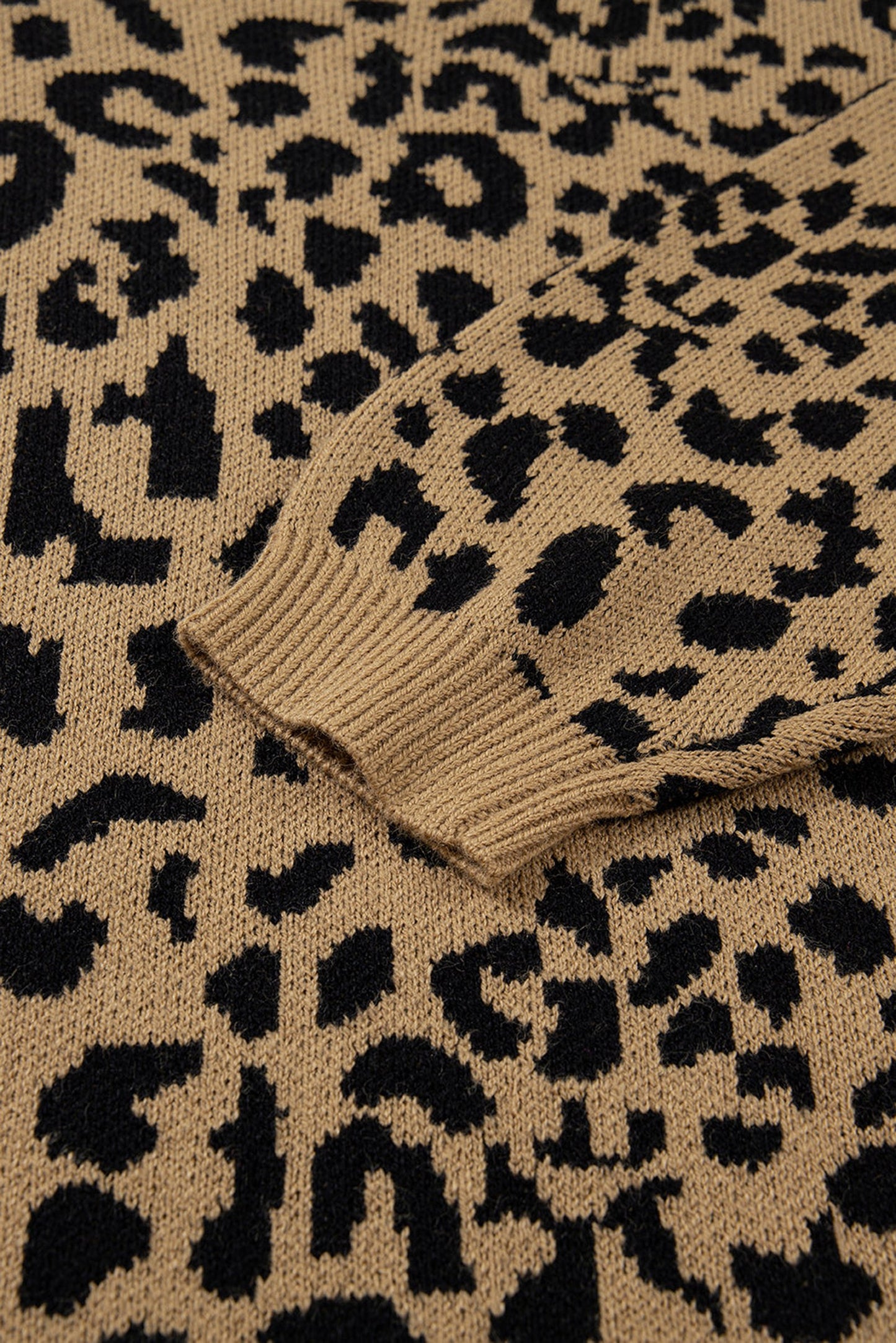 Leopard Print Sweater Women Trendy Style