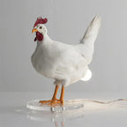 Chicken Lamp – Unique Friday Night Lights Series