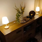 Modern Desk and Lamp for Stylish Lighting