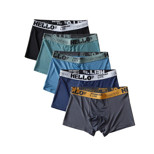 Ice Silk Boxer Shorts For Men 5-Pack