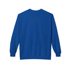 Blue Jesus is Love sweatshirt from LuckeLadybug with a small rose embroidered on back