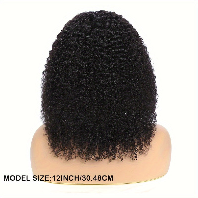 Kinky curly human hair wig by LuckeLadybug LLC in 12 inches, showcasing natural volume and texture