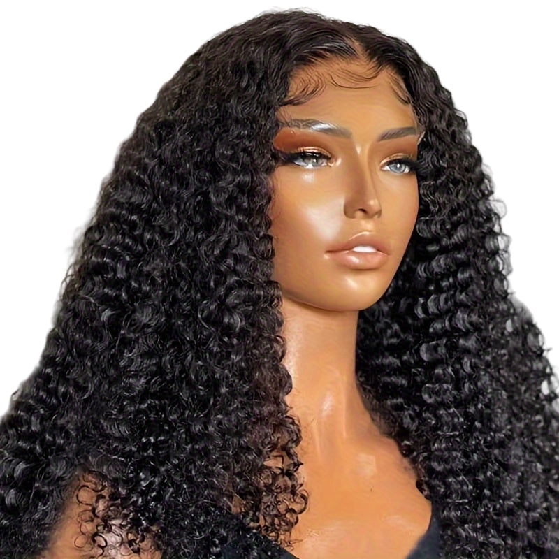 LuckeLadybug LLC Kinky Curly Human Hair Wig with Natural Volume and Bounce for Stylish Looks
