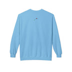 Light blue let them butterfly sweater by LuckeLadybug with small ladybug design on back