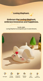 Cute Night Lights for Light Friday Night