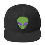 LuckeLadybug black snapback hat featuring a green alien head streetwear cap with purple eyes
