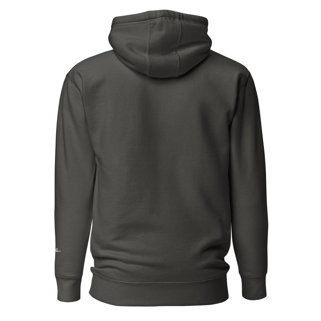Back view of LuckeLadybug dark gray fantasy dragon pullover hoodie with hood and long sleeves
