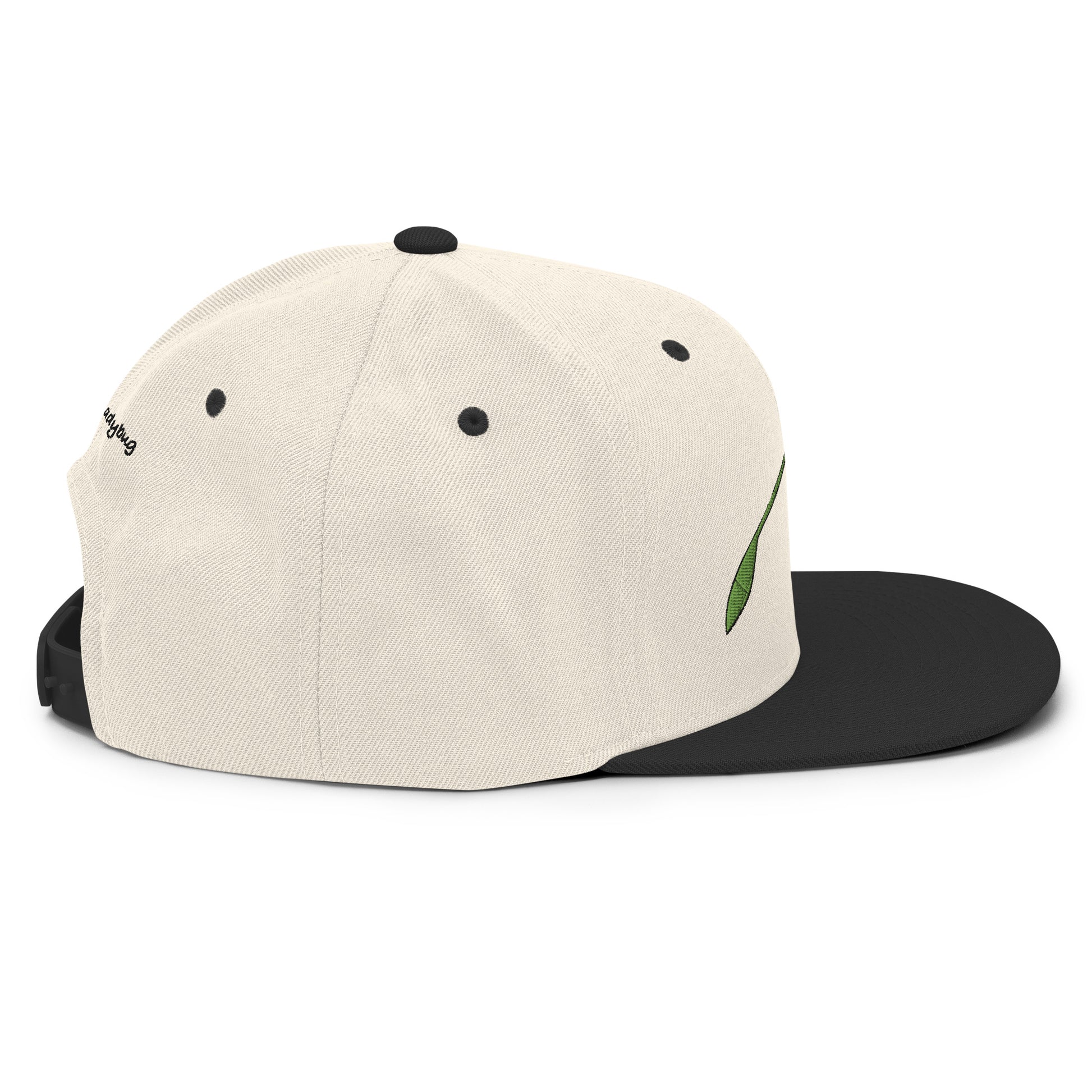 LuckeLadybug beige and black snapback hat fashion snapback for men with adjustable back strap