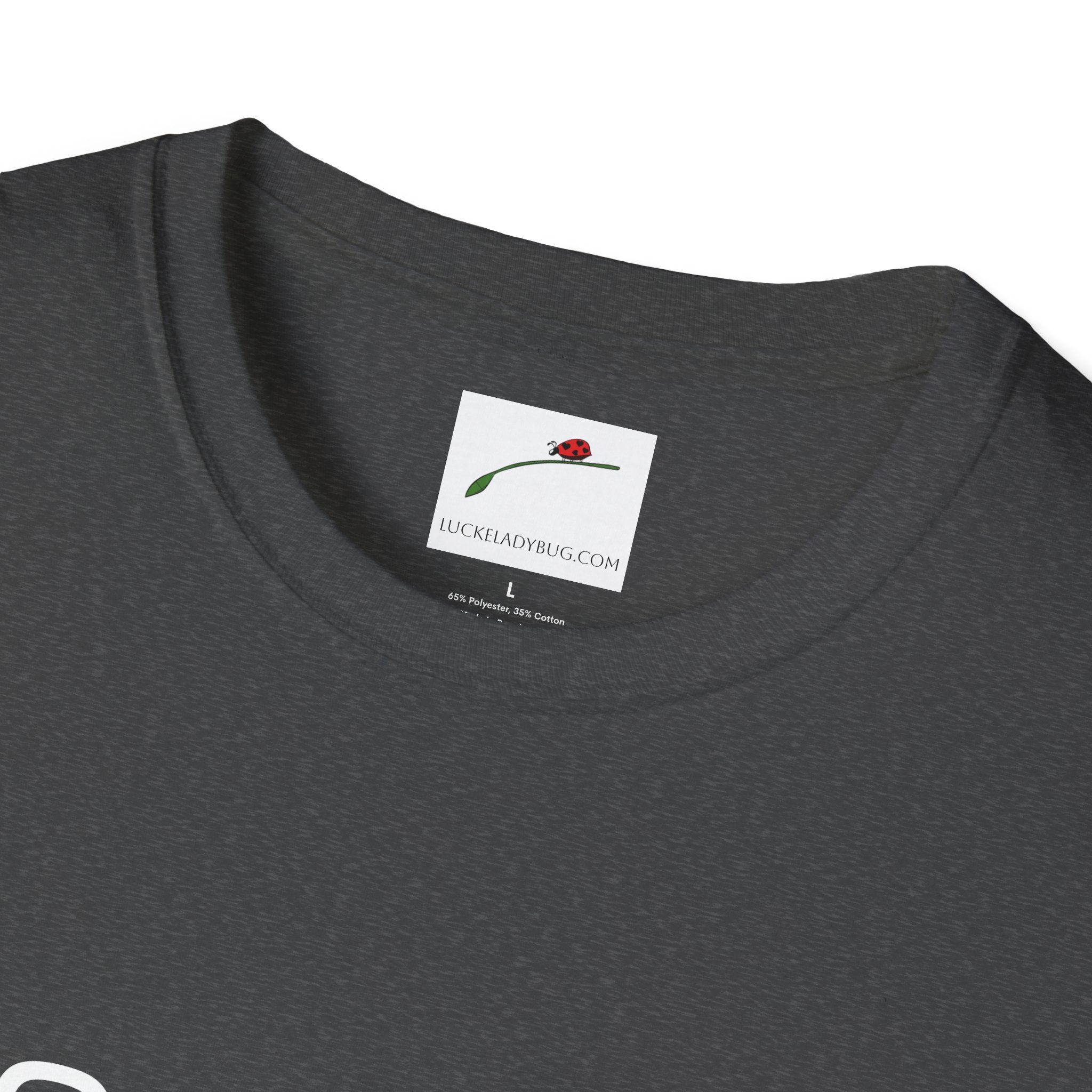 LuckeLadybug sixty something t shirt close-up showing dark gray fabric and collar detail