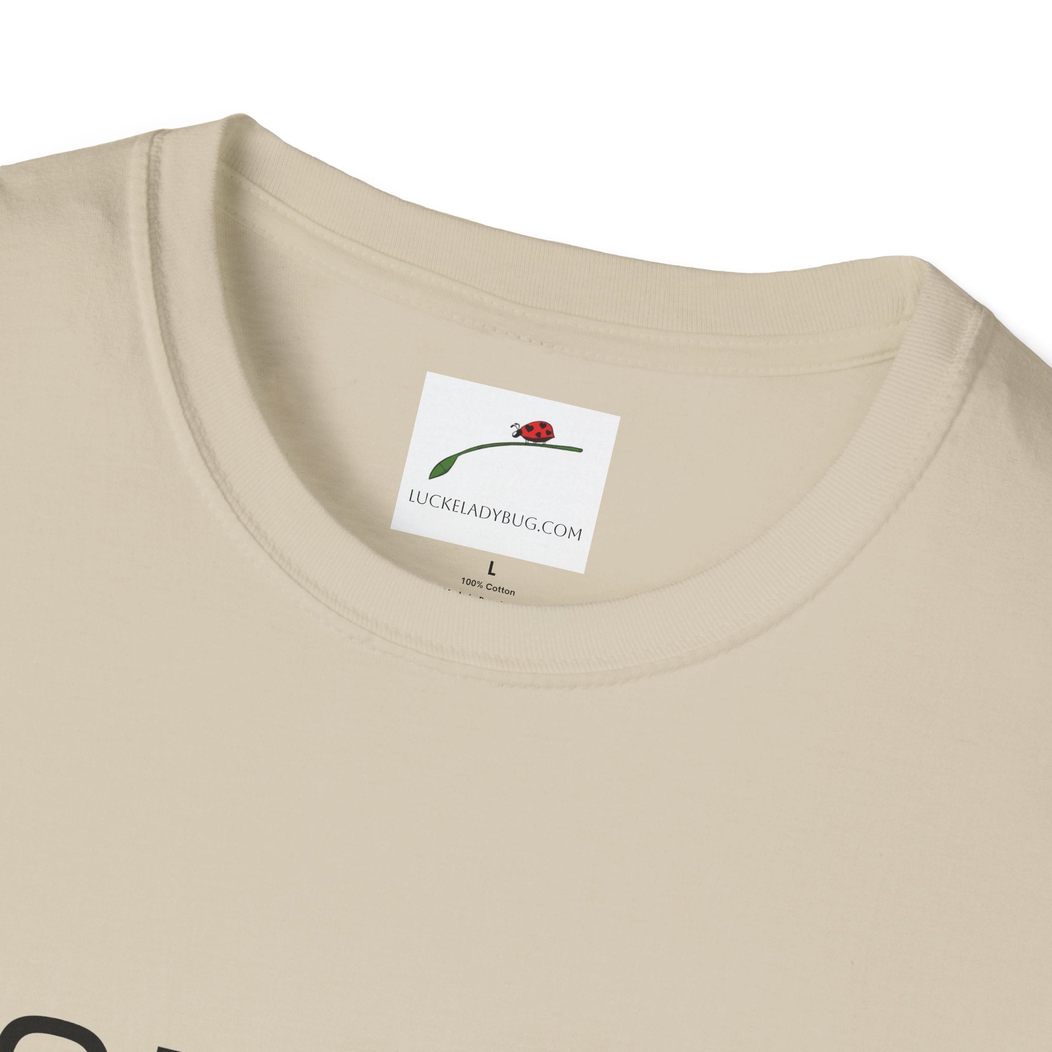 LuckeLadybug beige t-shirt with sixty something birthday shirt text and crew neck design