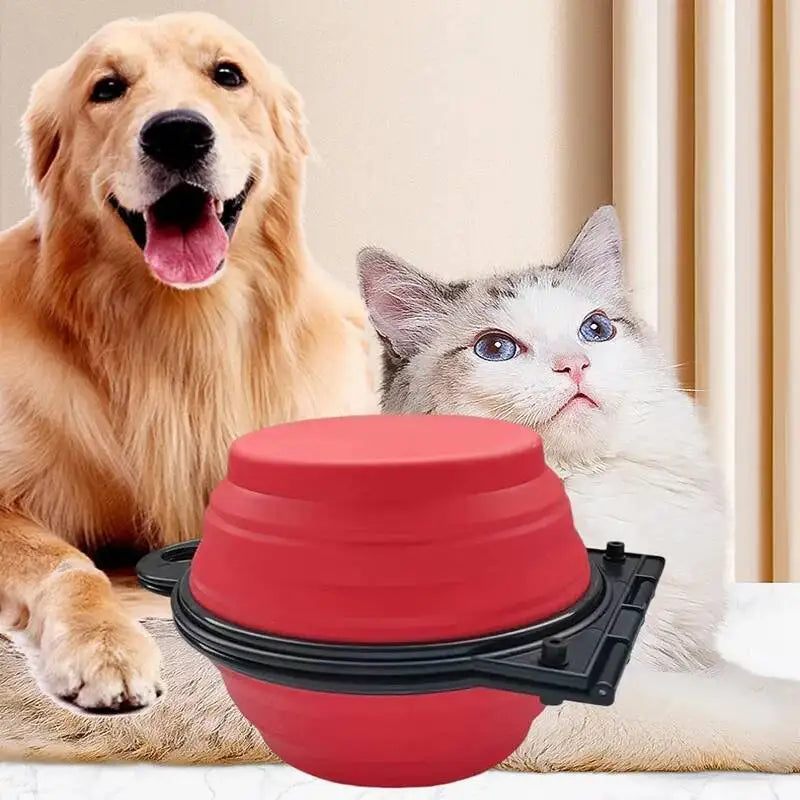 LuckeLadybug slow eating dog bowl in red with a collapsible design for pet dining