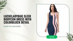 LuckeLadybug Sleek Bodycon Dress with Colorblock Detail by@Outfy