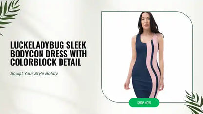 LuckeLadybug Sleek Bodycon Dress with Colorblock Detail by@Outfy