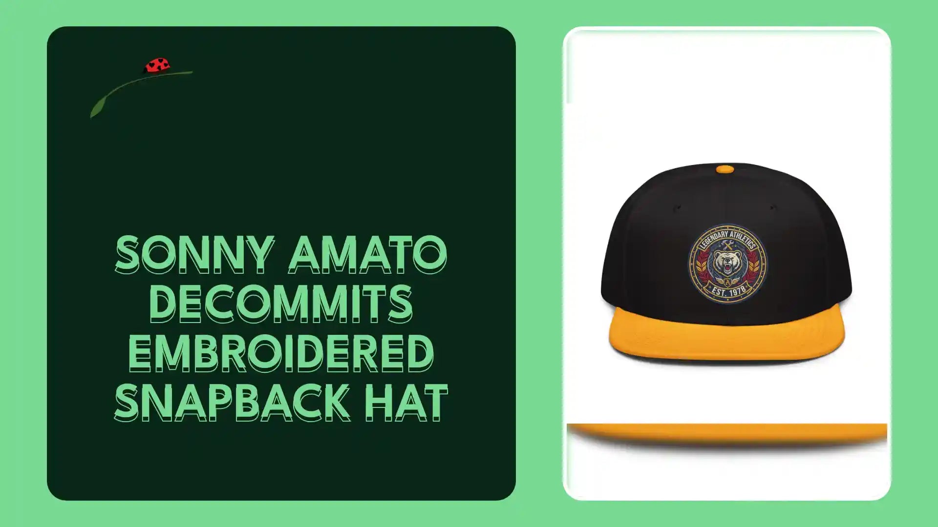 Sonny Amato Decommits Embroidered Snapback Hat by@Outfy