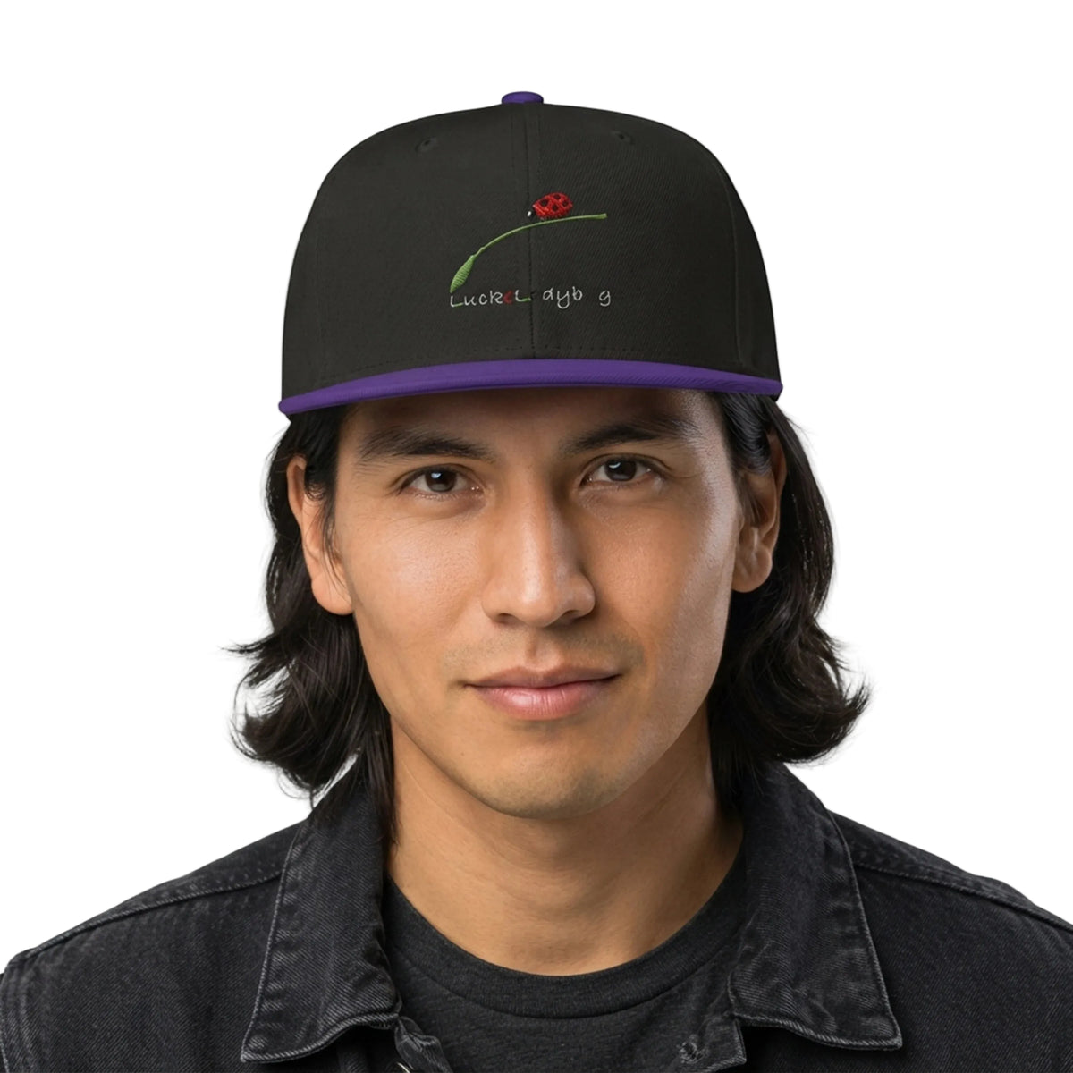 Mountain Ladybug Graphic Embroidered Snapback