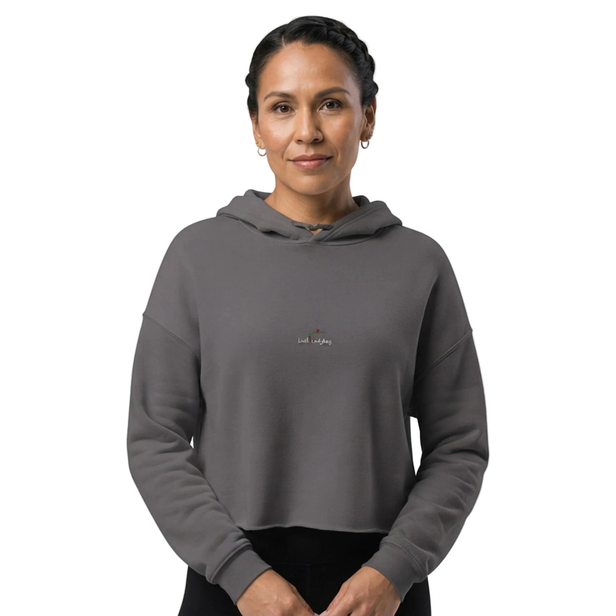 Global Learning Journey Cropped Hoodie