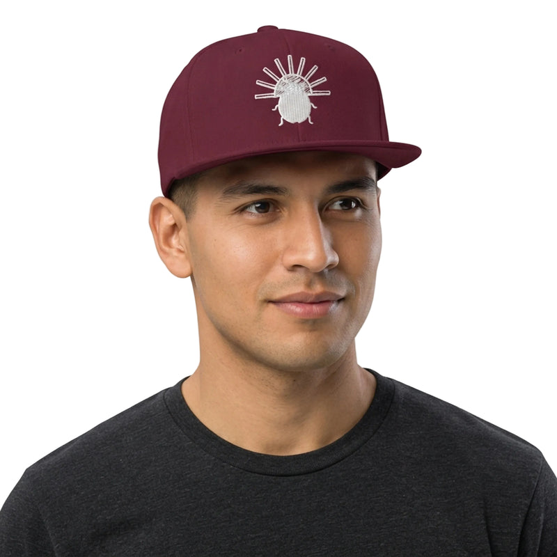 Radiant Ladybug Emblem Snapback