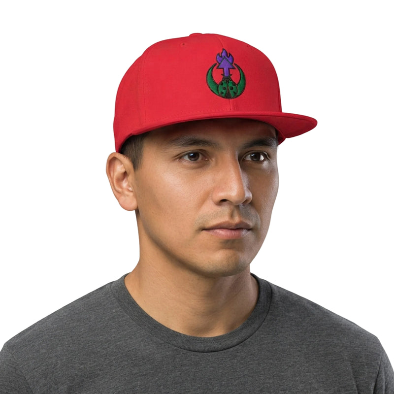 Flaming Arrow Ladybug Emblem Snapback