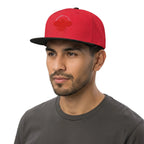 Red Ladybug Embroidery Snapback