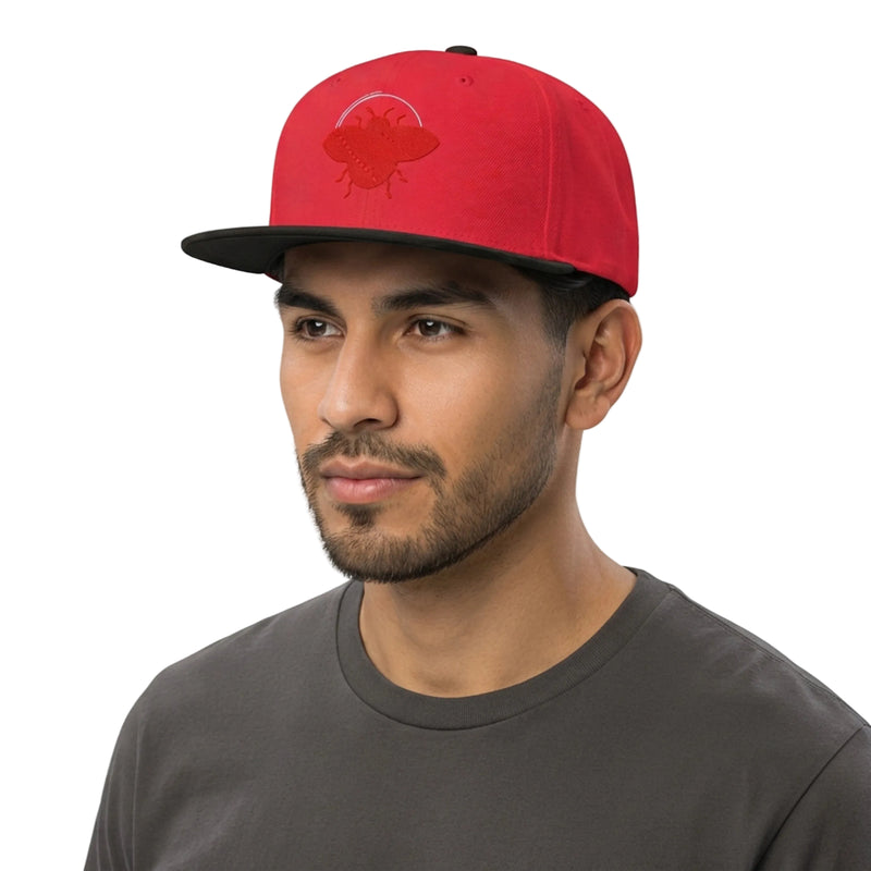 Red Ladybug Embroidery Snapback