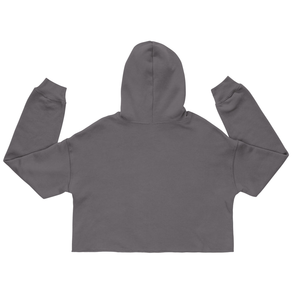Gray queen bee crop hoodie by LuckeLadybug showing the back with long sleeves and attached hood