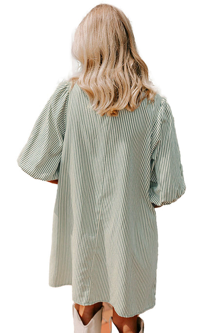 LuckeLadybug back view of model wearing green puff sleeve button down dress striped mini dress outdoors