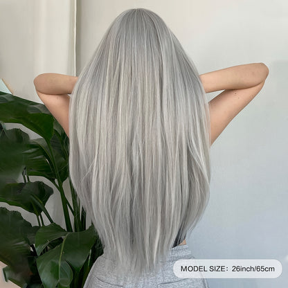 Silvery grey long straight wig styled with a natural look, showcasing its sleek design and length