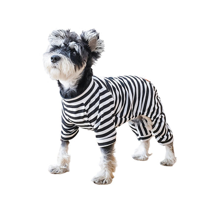 Adorable small dog in striped pajamas for small dogs, perfect for cozy nights at home